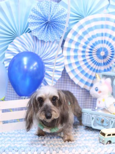 20231119ののちゃん